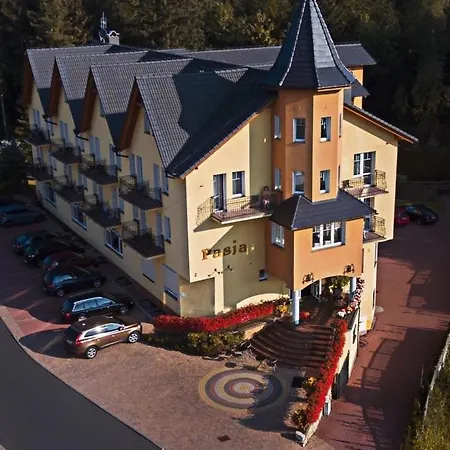 Bed & Breakfast Pasja - Zdroj W Gorach 3*