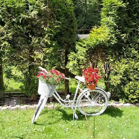 Bed & Breakfast Pasja Świeradów-Zdrój