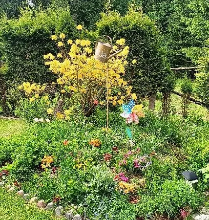 Bed & Breakfast Pasja 3*