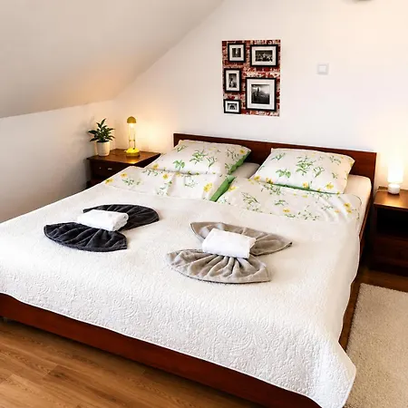 Pasja - Zdroj W Gorach Bed & Breakfast