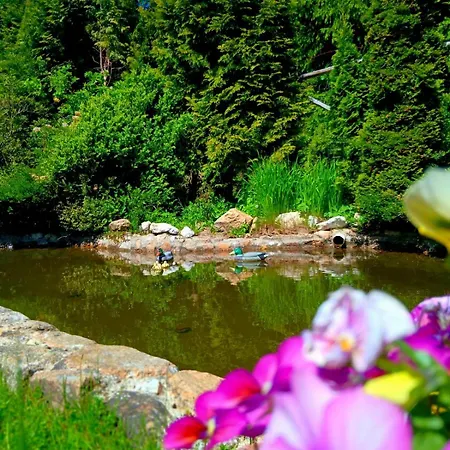 Pasja - Zdroj W Gorach 3*