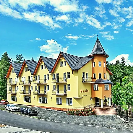 Bed & Breakfast Pasja - Zdroj W Gorach 3*