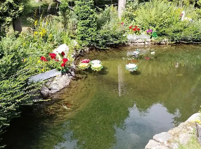 Bed & Breakfast Pasja